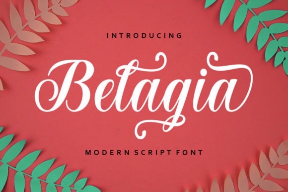 Belagia: The Elegant Script Font for Makers