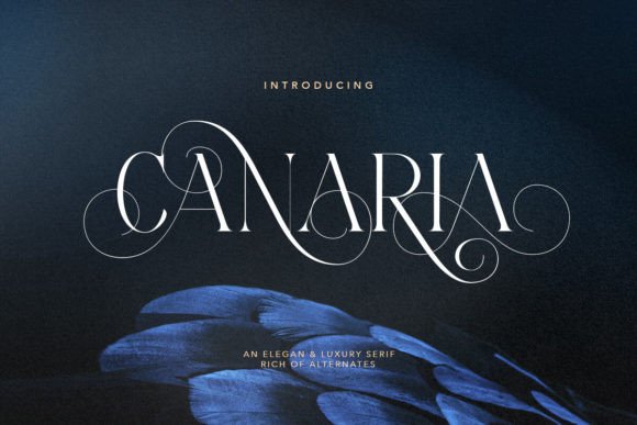 Canaria Typeface Review for Elegant Branding