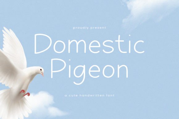 Domestic Pigeon Font for Modern Web Design