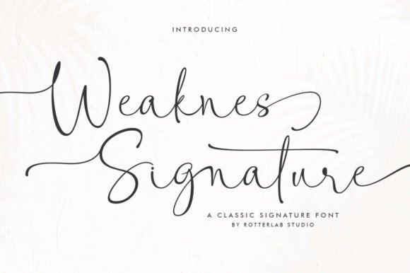 Weaknes Signature: The Handwritten Font for Digital Brands